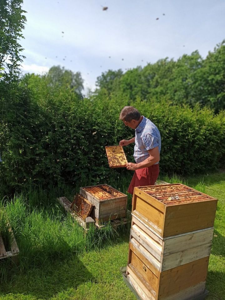 Honig Sommertracht mit Himbeerblüte aus Wentorf