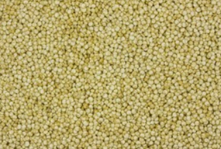 Quinoa Pops - Abgabe 100 g weise