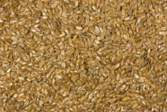 Leinsaat (Leinsamen) - Abgabe 100 g weise