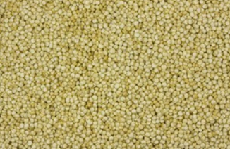 Quinoa Vollkorn - Abgabe 100 g weise
