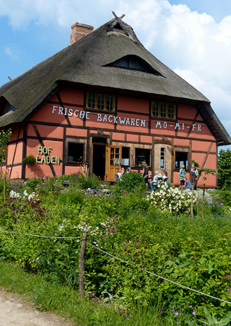 Walnussöl (Rohkostqualität)