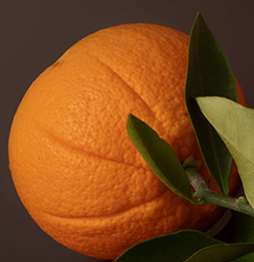 Orangen - Abgabe 1 kg weise