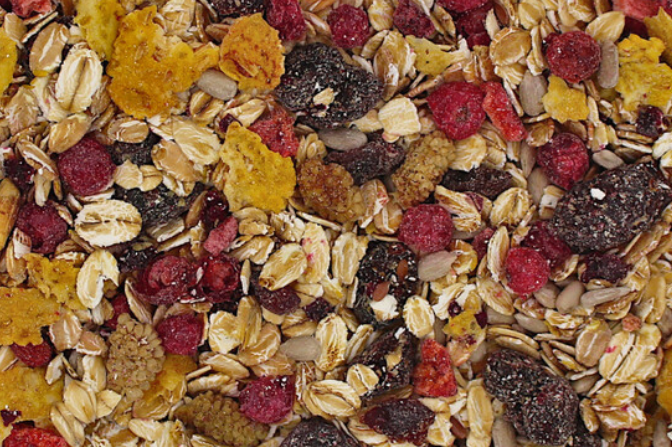 Müsli Beeren - Abgabe 100 g weise